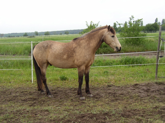 P5090082