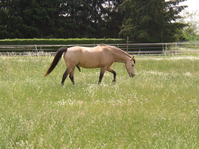 P5260026