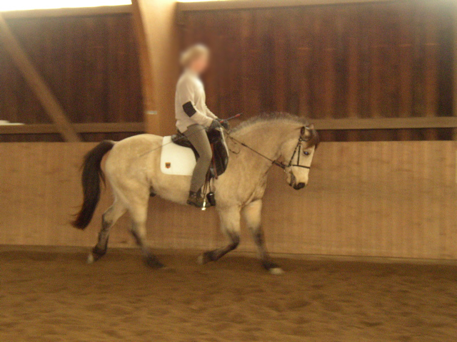 P1010006.JPG