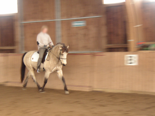 P1010009.JPG