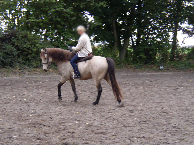 P9270057.JPG