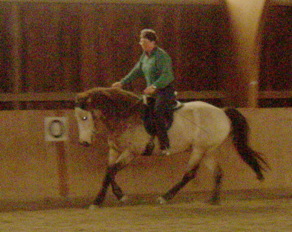 P1010011.JPG