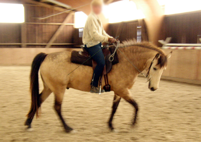 P1010006.JPG