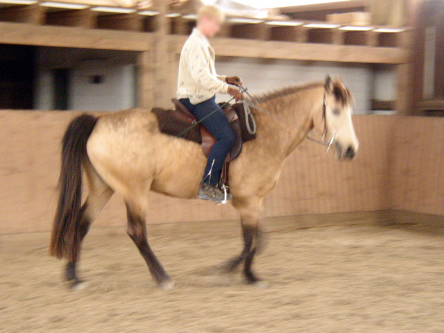 P1010007.JPG