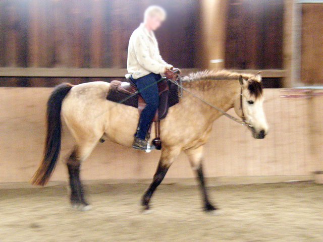 P1010008.JPG