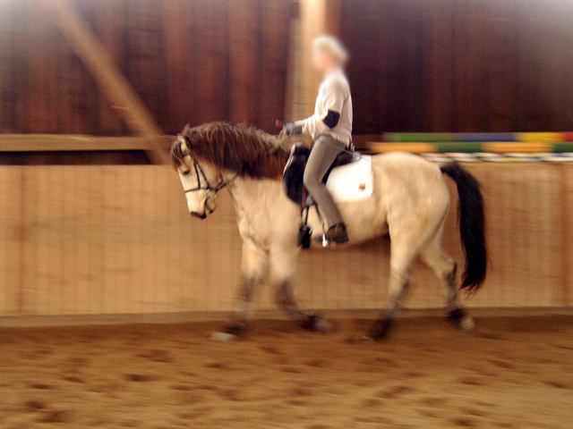 P1010011.JPG
