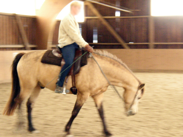 P1010012.JPG