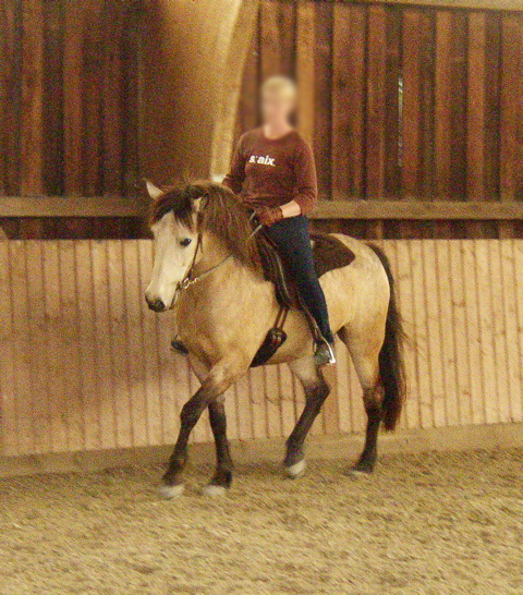 P1010039.JPG