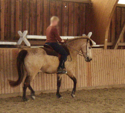 P1010050.JPG