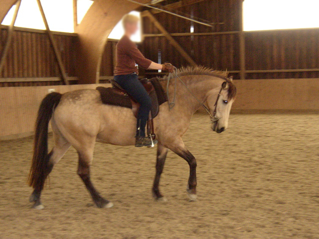 P1010053.JPG