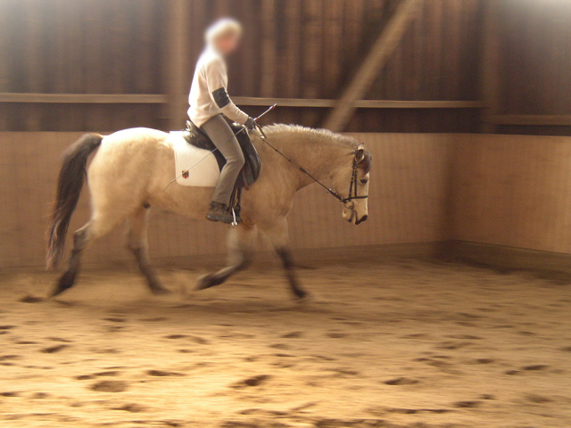 P1010028.JPG