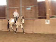 P1010009.JPG