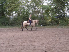 P9270063.JPG