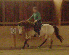 P1010011.JPG