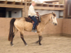 P1010007.JPG