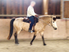 P1010008.JPG