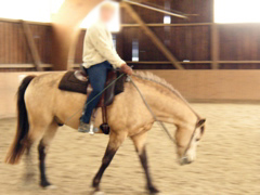 P1010012.JPG