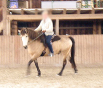 P1010015.JPG