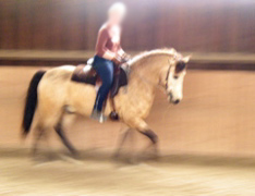 P1010021.JPG