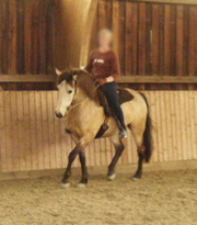 P1010039.JPG