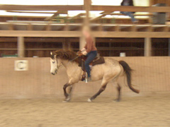 P1010061.JPG