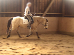 P1010028.JPG