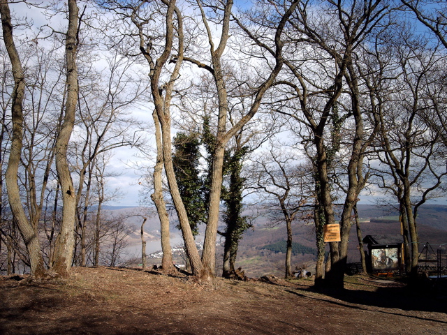 IMAG0038.JPG