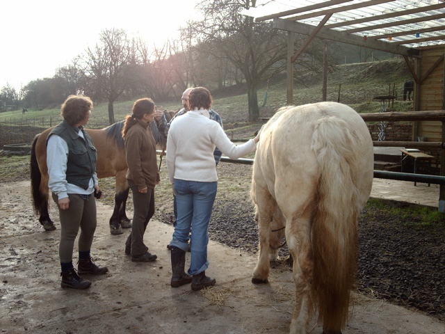 IMAG0043.JPG