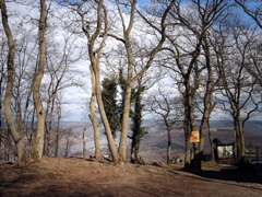 IMAG0038.JPG
