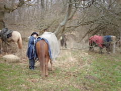 IMAG0071.JPG