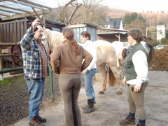IMAG0044.JPG