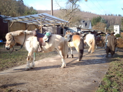 IMAG0045.JPG