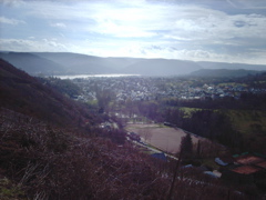 IMAG0050.JPG