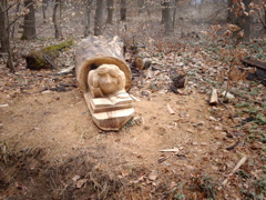 IMAG0056.JPG