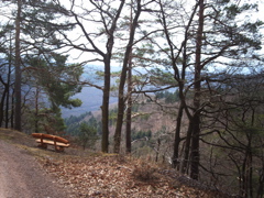 IMAG0059.JPG