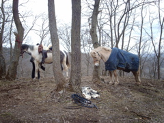 IMAG0060.JPG