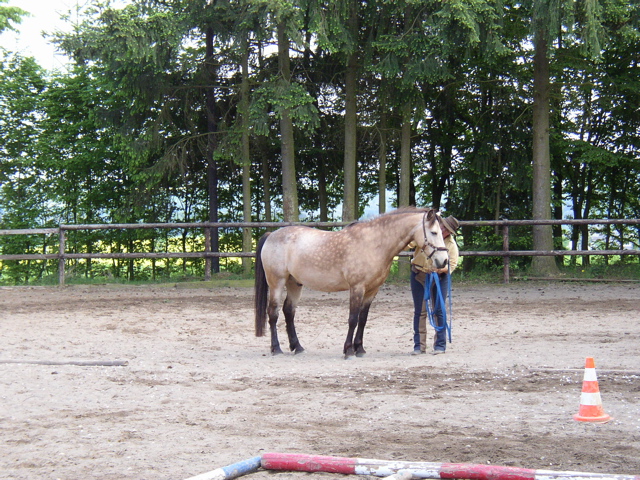 P5120106.JPG