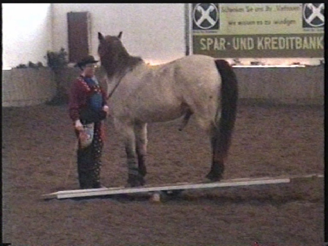 wippe1