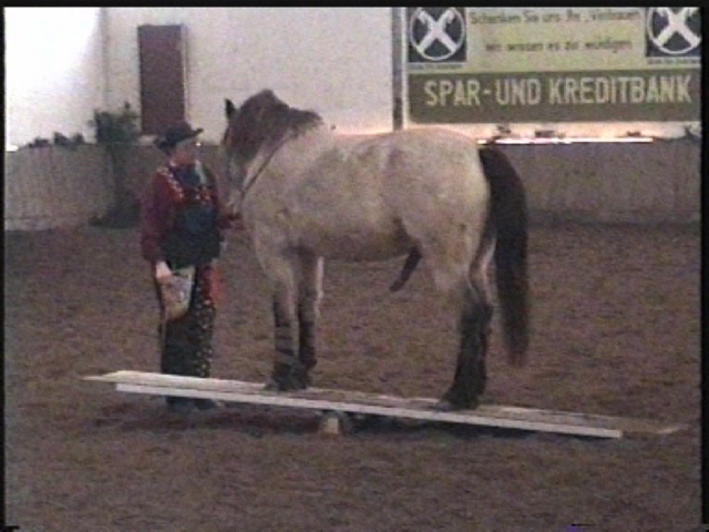 wippe2