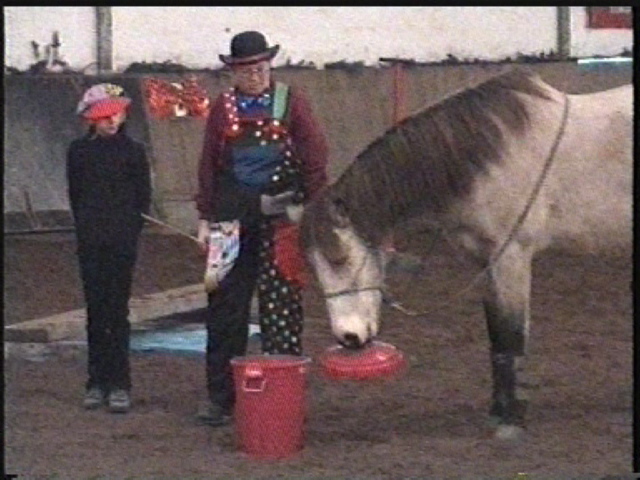 rotereimer