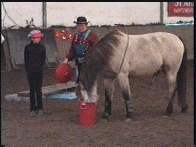 rotereimer2