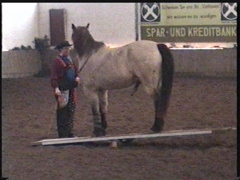 wippe1