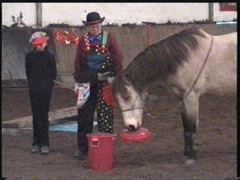 rotereimer